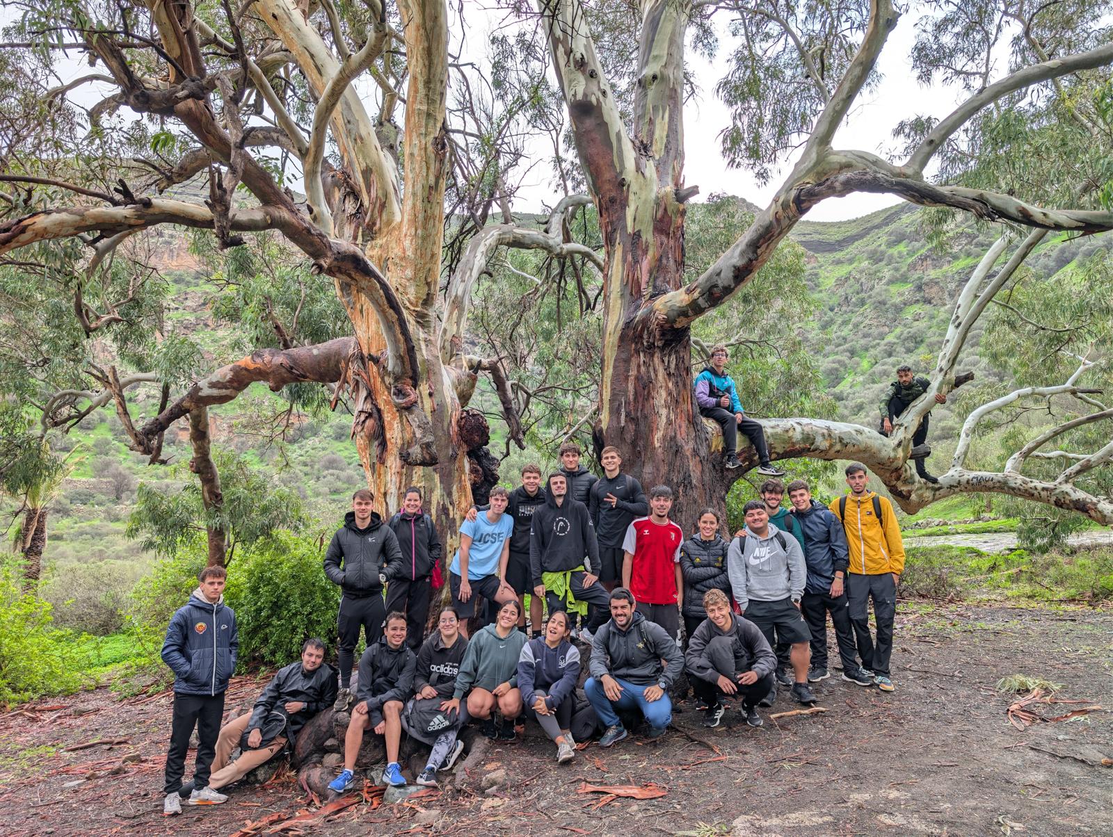 El alumnado de los grupos de Deportes se recorre en caminata la Caldera de Bandama